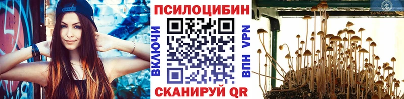 hydra ONION  цена наркотик  Валдай  Псилоцибиновые грибы Magic Shrooms 